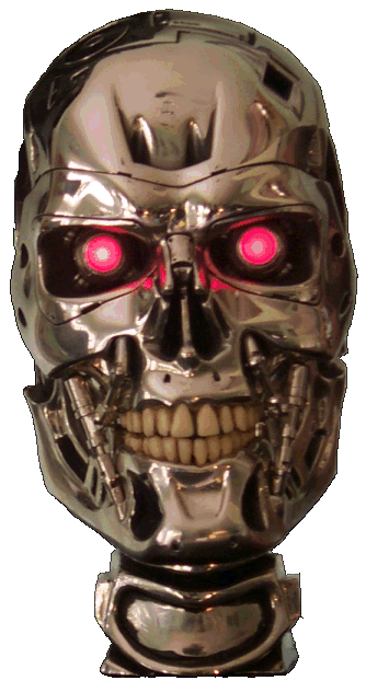 Terminator Endoskeleton Skull