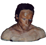 T800 Arnold bust from The Terminator (prop)
