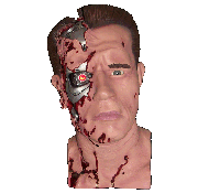 T800 bust stage 5/6 (replica)